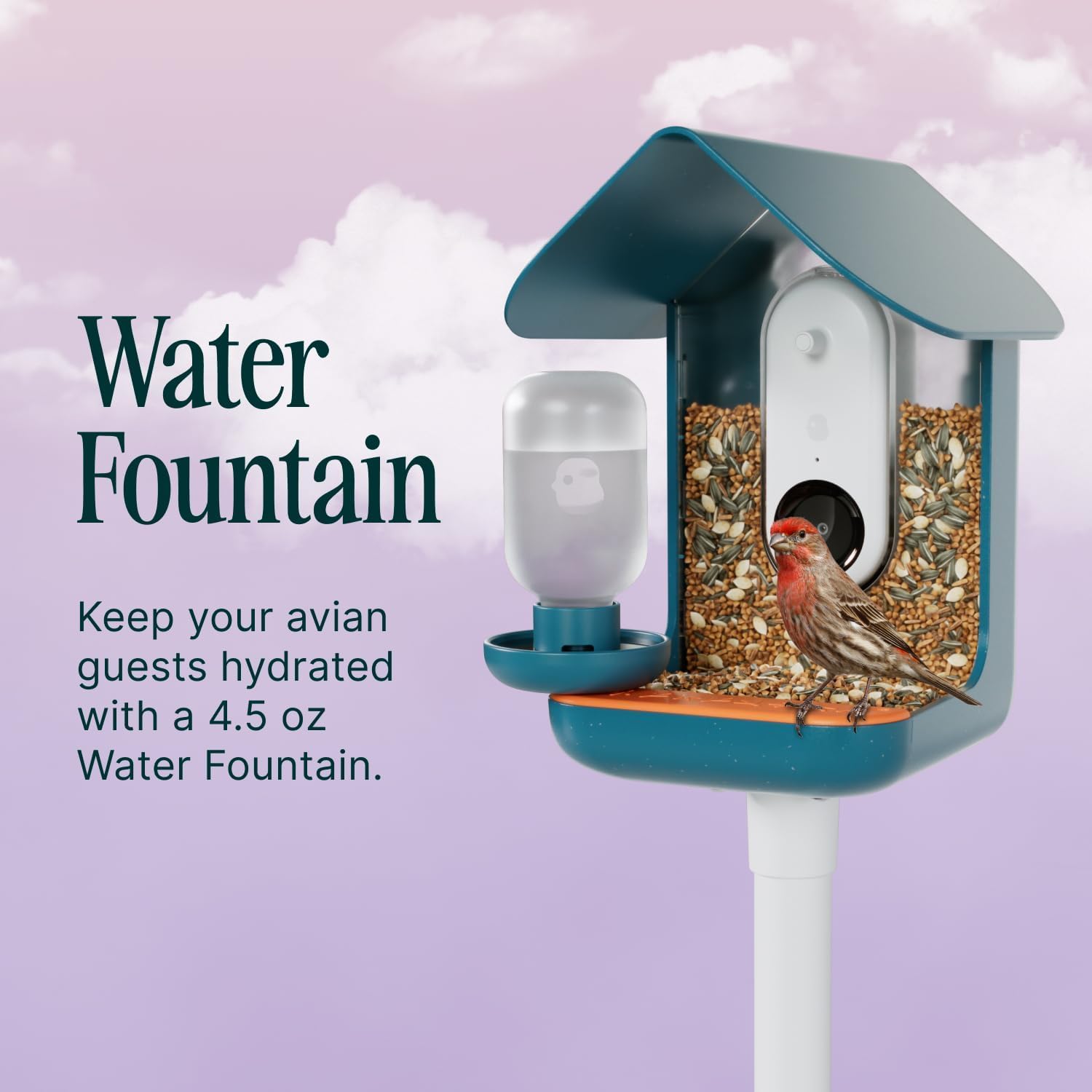Bird Buddy 3-in-1 Nutrition Set attached to feeder in garden