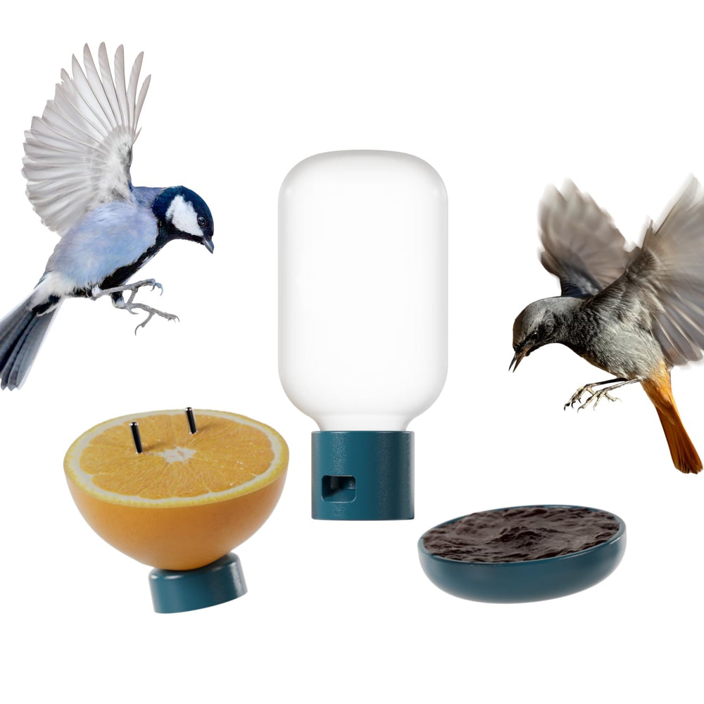 Bird Buddy 3-in-1 Nutrition Set with Water Fountain, Fruit Spike, Jelly Tray, Blue