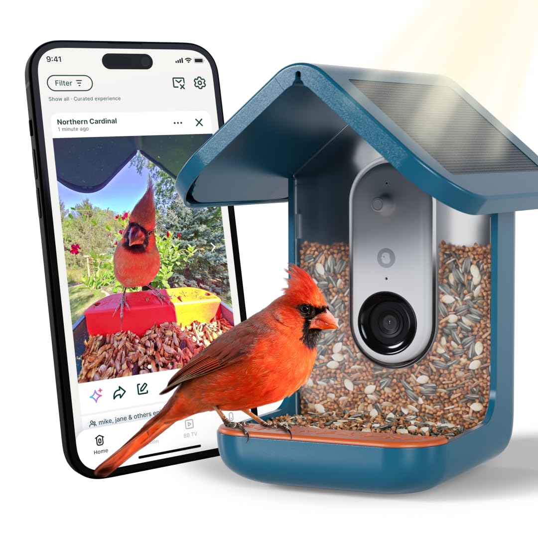 Bird Buddy Pro Smart Bird Feeder front view with solar roof