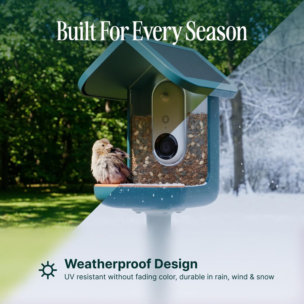 Bird Buddy Pro Smart Bird Feeder mounted on a pole