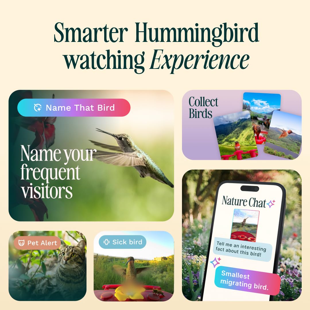 Bird Buddy Solar Hummingbird Feeder with solar roof