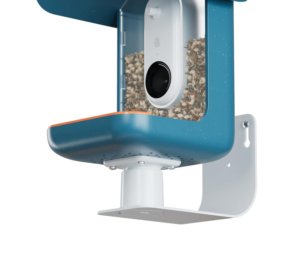 Bird Buddy Wall Mount for bird feeders, white metal mount front view