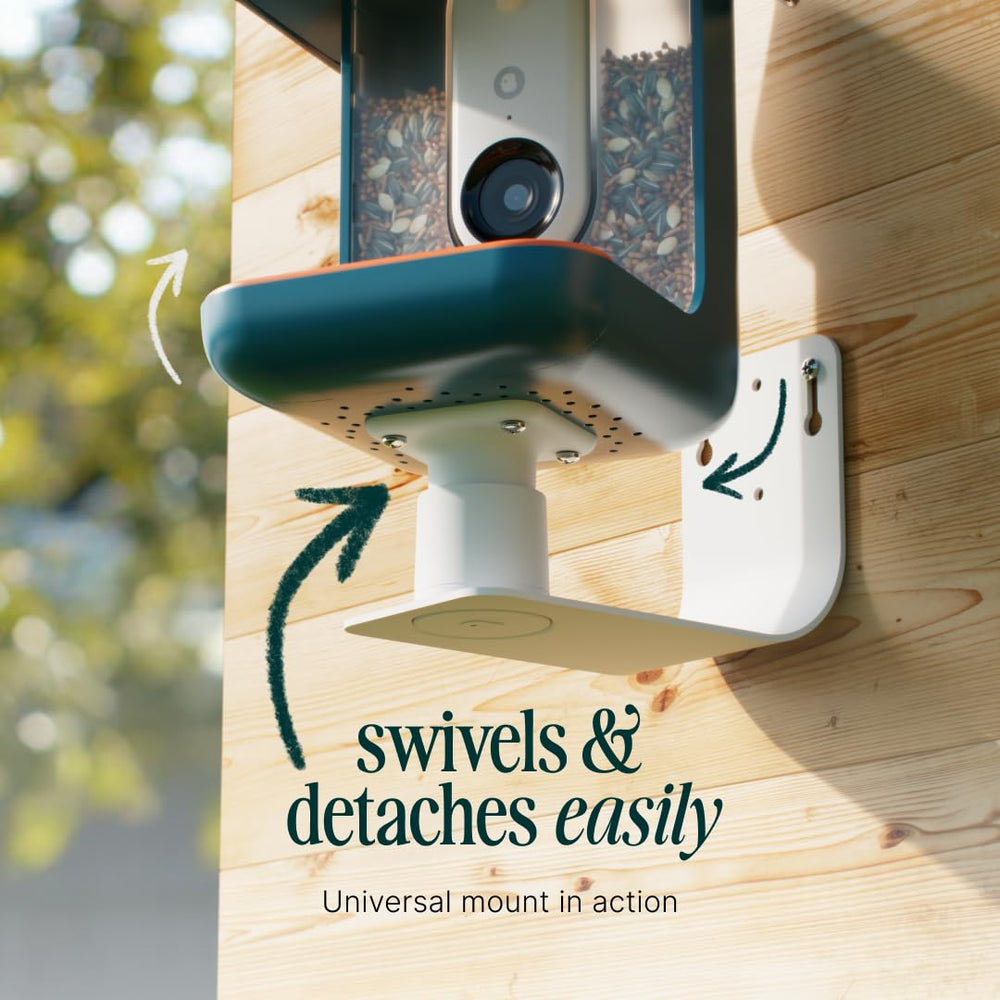 Bird Buddy Wall Mount in packaging, featuring product details