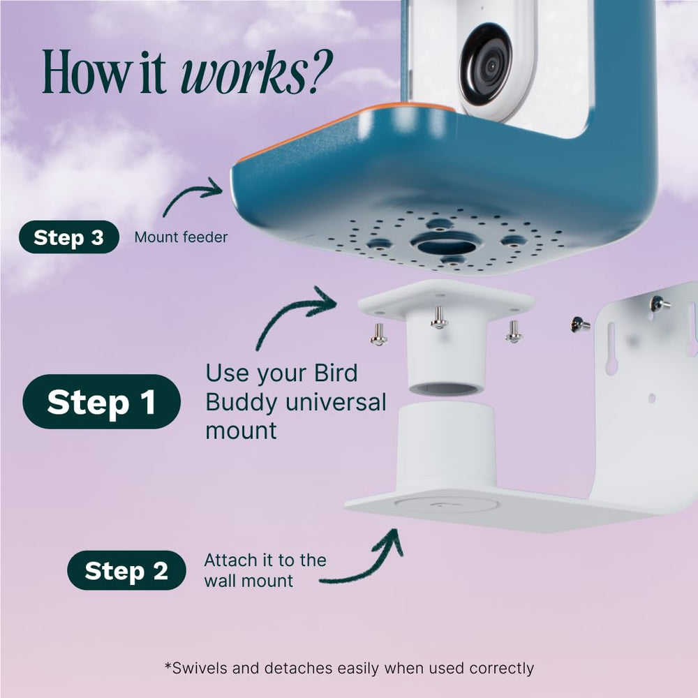 Bird Buddy Wall Mount on a patio wall with birds feeding