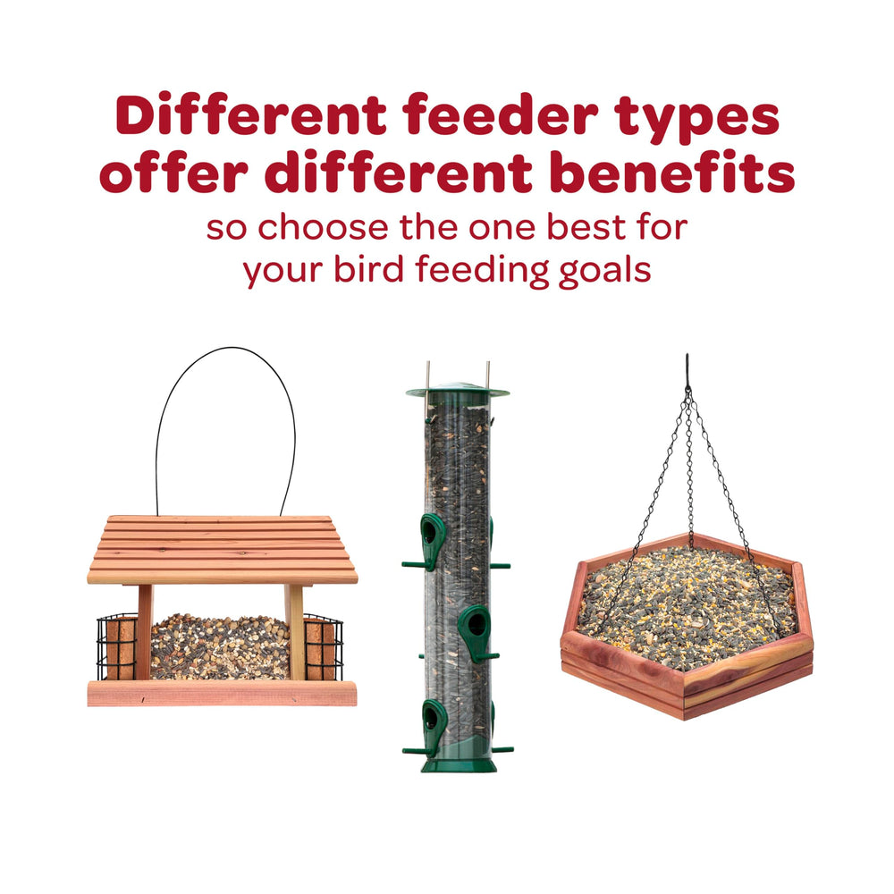 Bird feeder filled with Kaytee Cardinal Blend