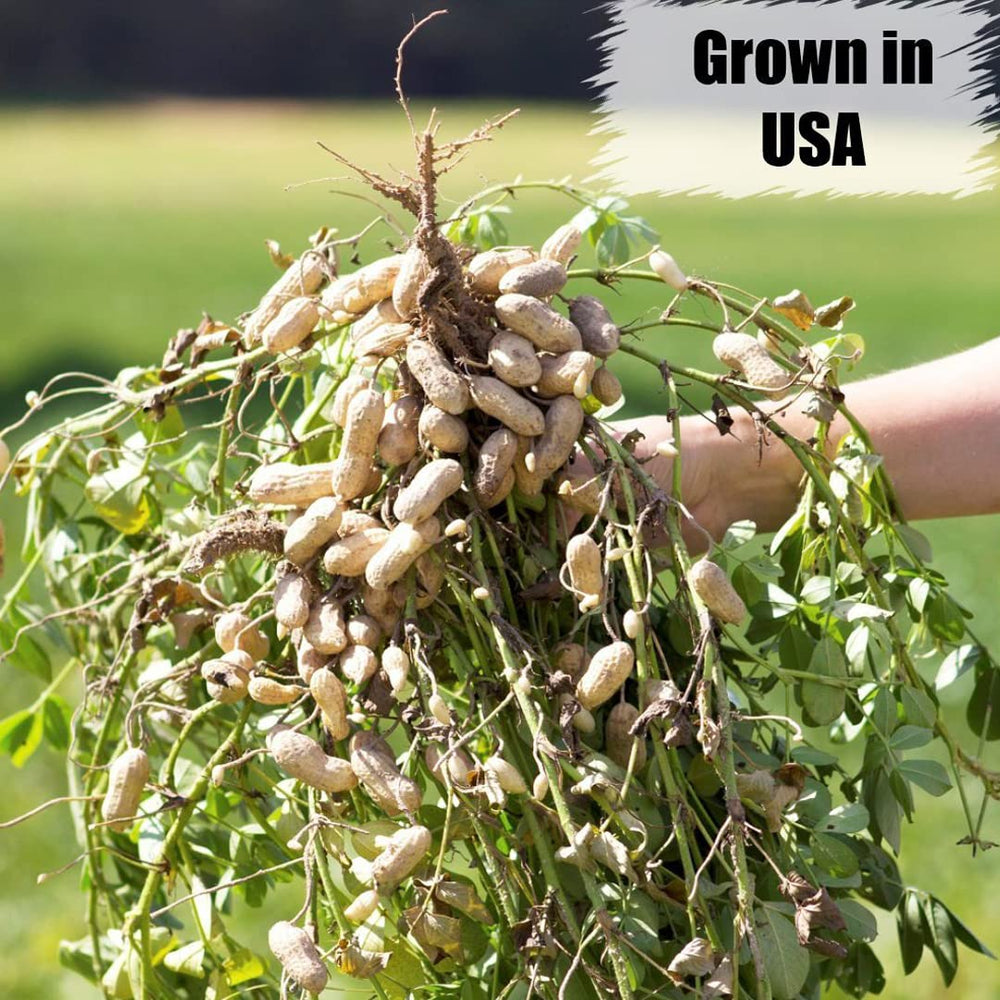 Bird feeder filled with Old Potters Organic Shelled Peanuts
