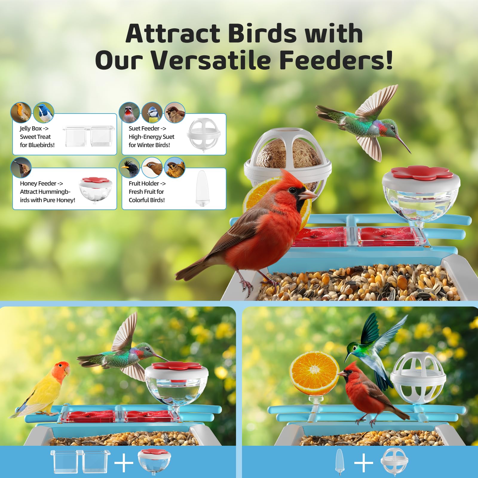 Bird feeder showing food storage container