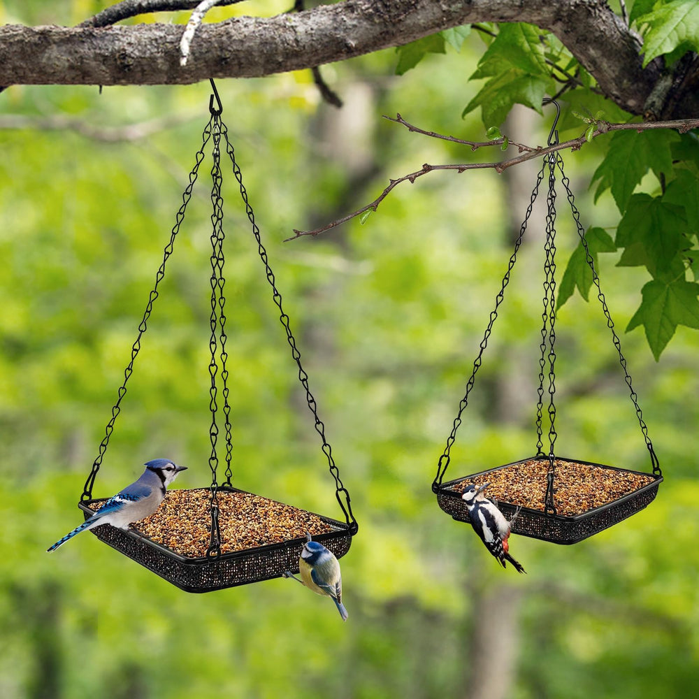 Bird feeder tray with seeds in outdoor garden