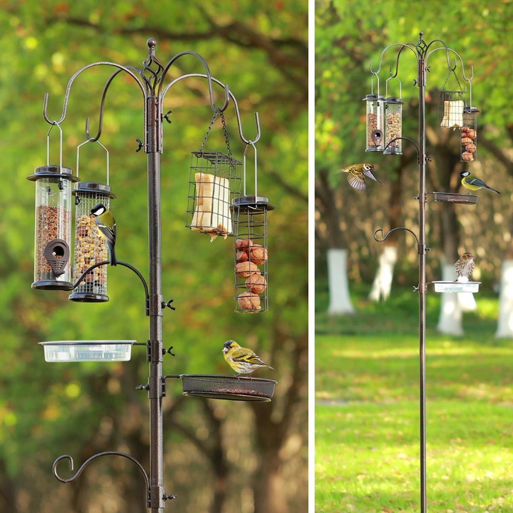 Bird feeder with birds feeding in backyard