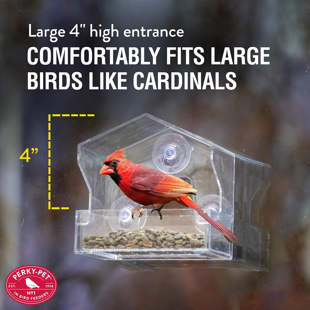 Bird feeding at Perky-Pet Window Bird Feeder