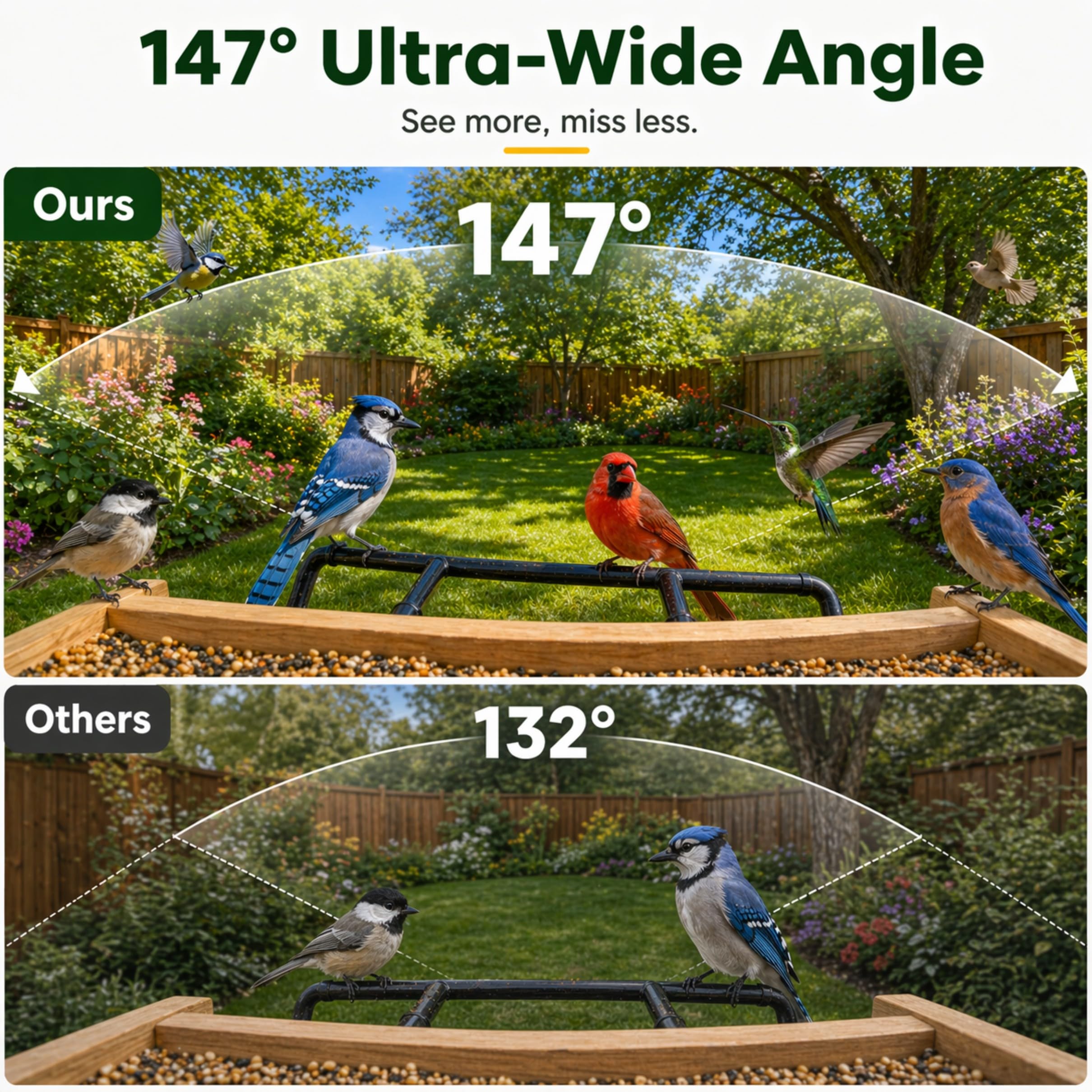 Bird identification feature on DETIKO Smart Bird Feeder