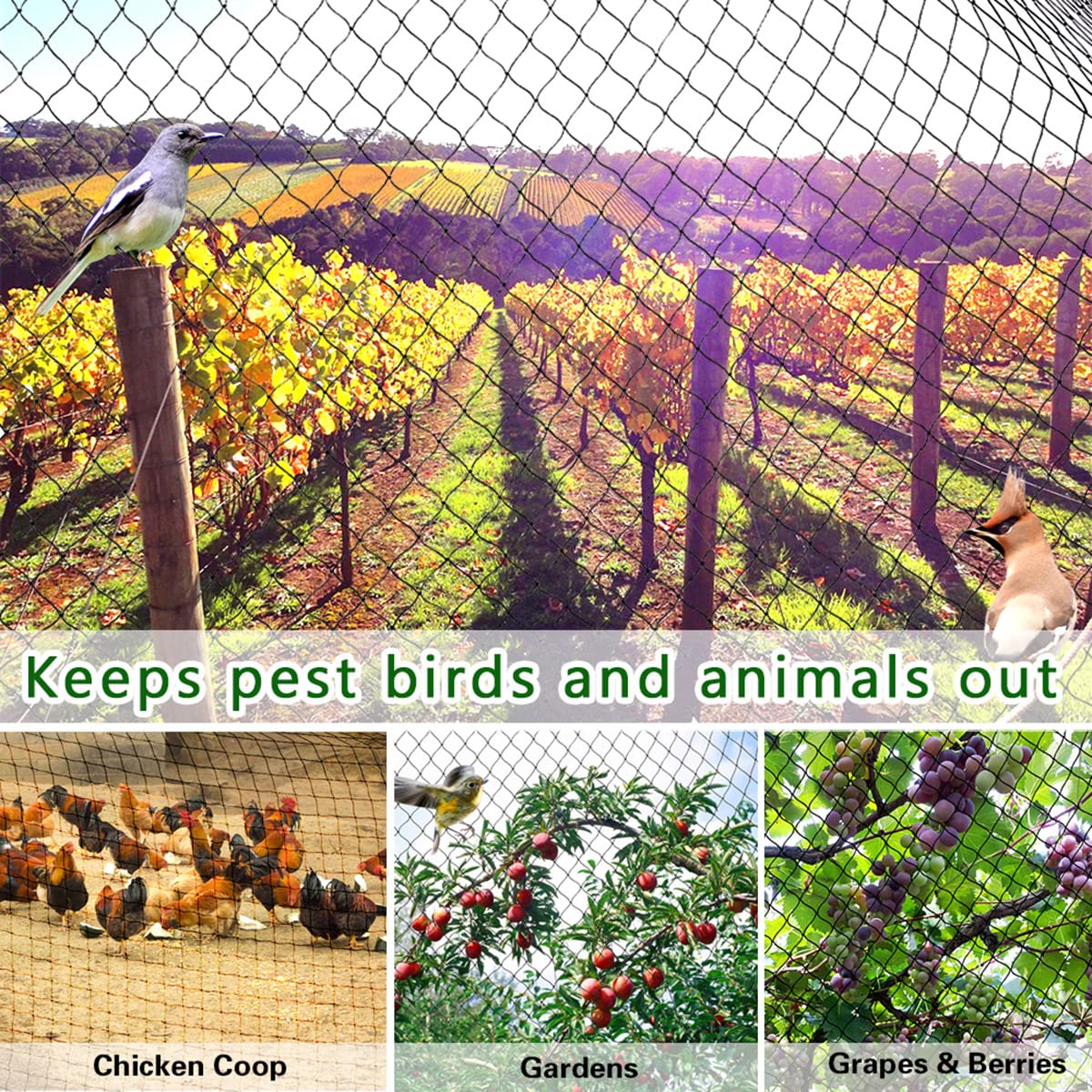 Bird netting demonstration in a garden setting