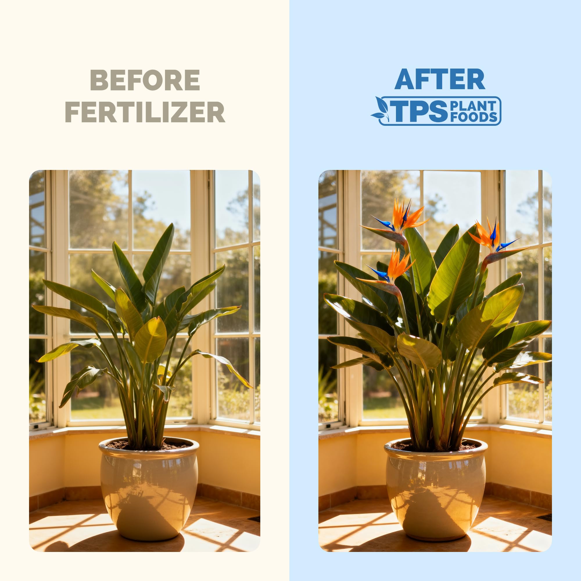 Bird of Paradise Fertilizer 32 oz bottle side view