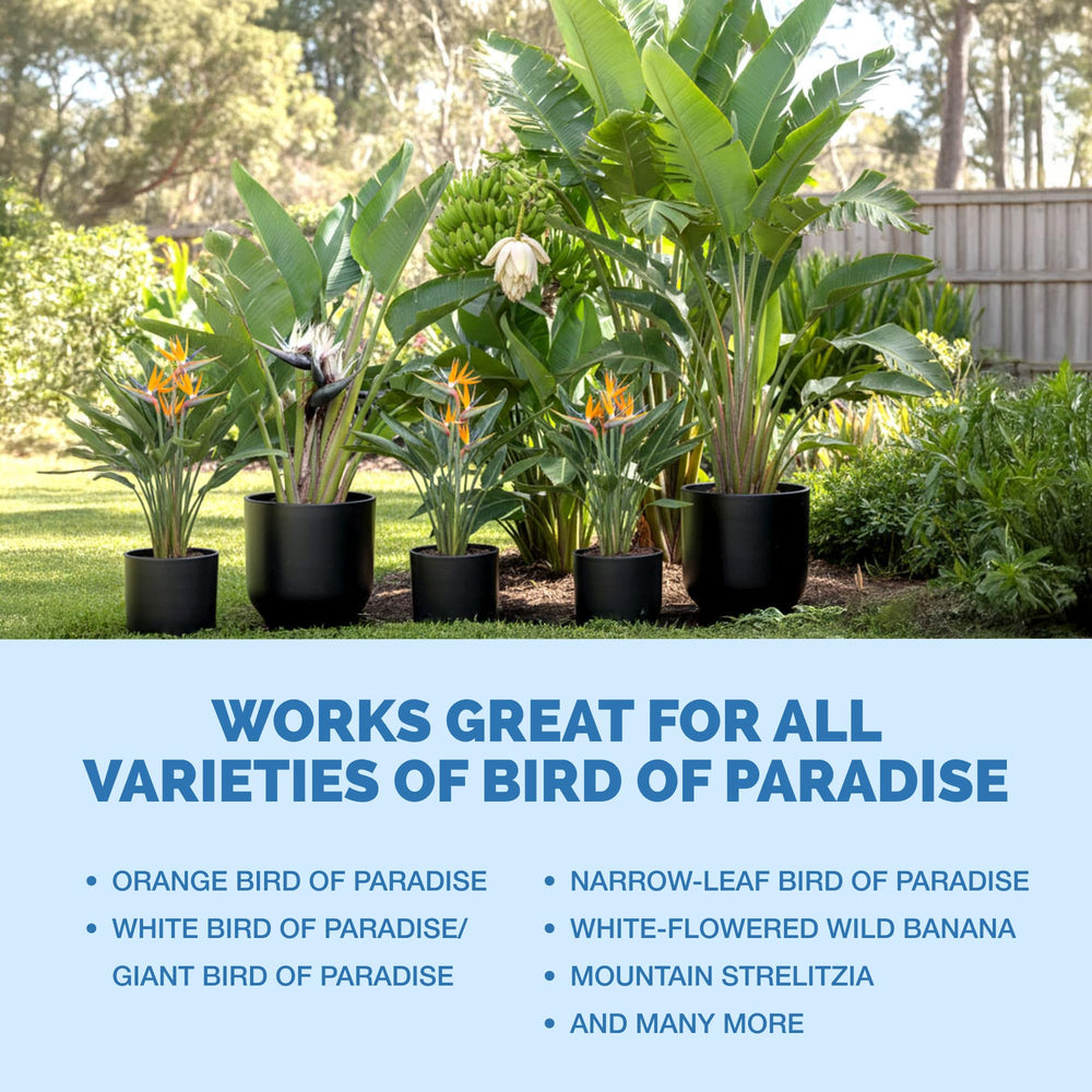 Bird of Paradise Fertilizer usage instructions
