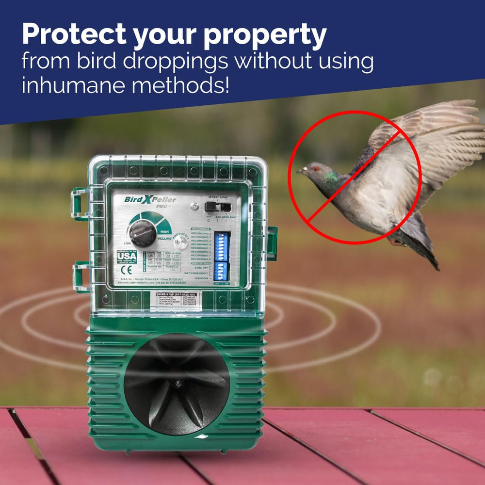 Bird-X Woodpecker Pro in a garden setting