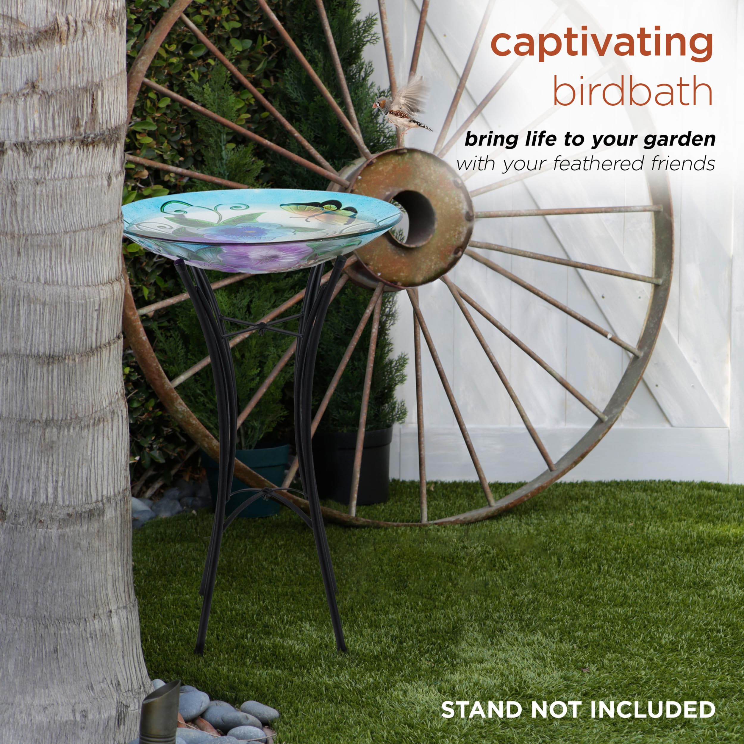 Birdbath bowl outdoors in a garden setting