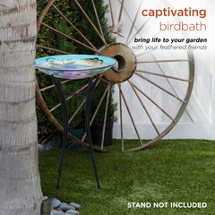Birdbath bowl outdoors in a garden setting