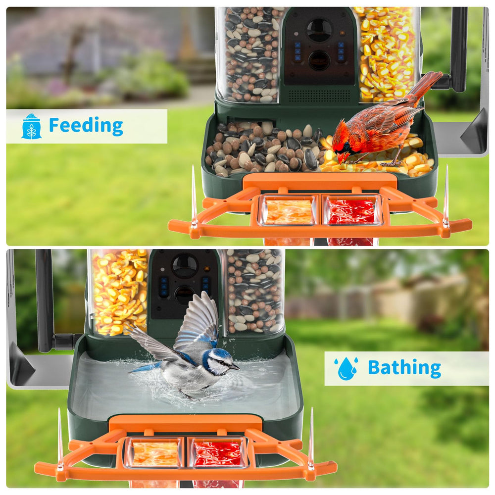 Birdbath feature on NAVFS Bird Feeder
