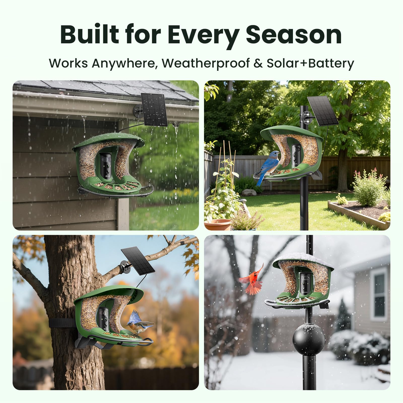 Birdfy accessories including perch and charging cable