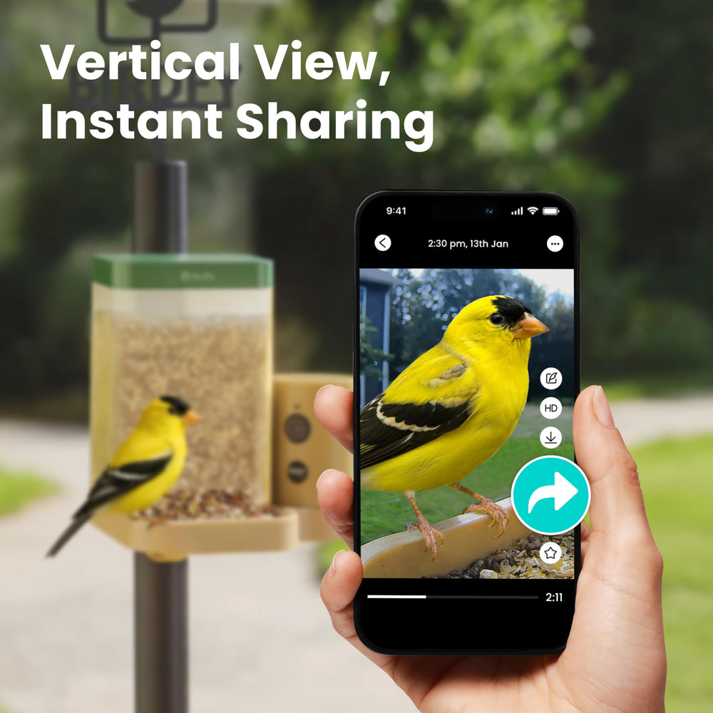 Birdfy app interface displaying live bird video feed