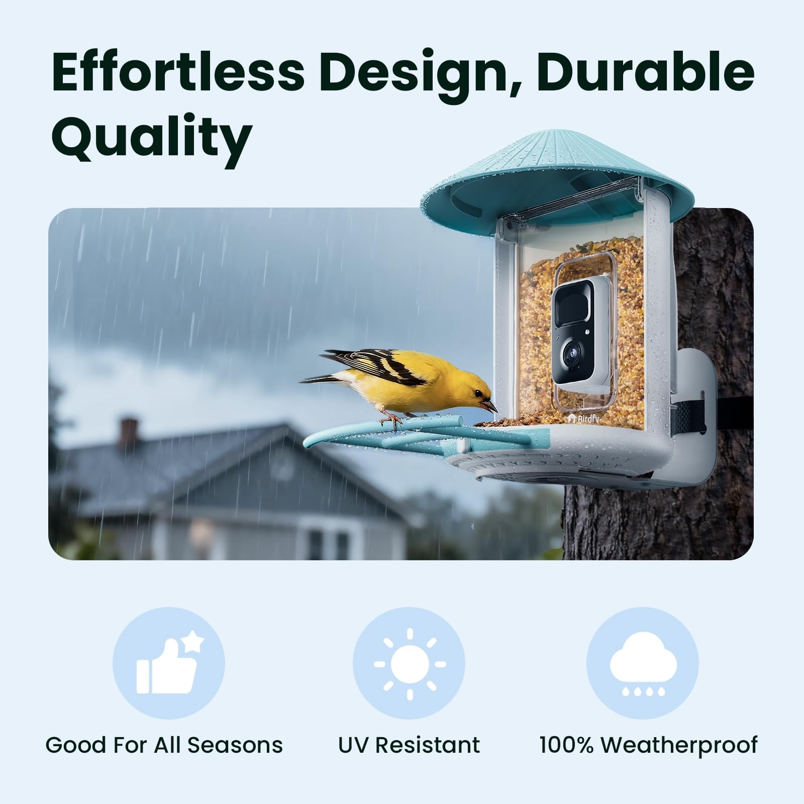 Birdfy Bird Feeder showing night vision capability