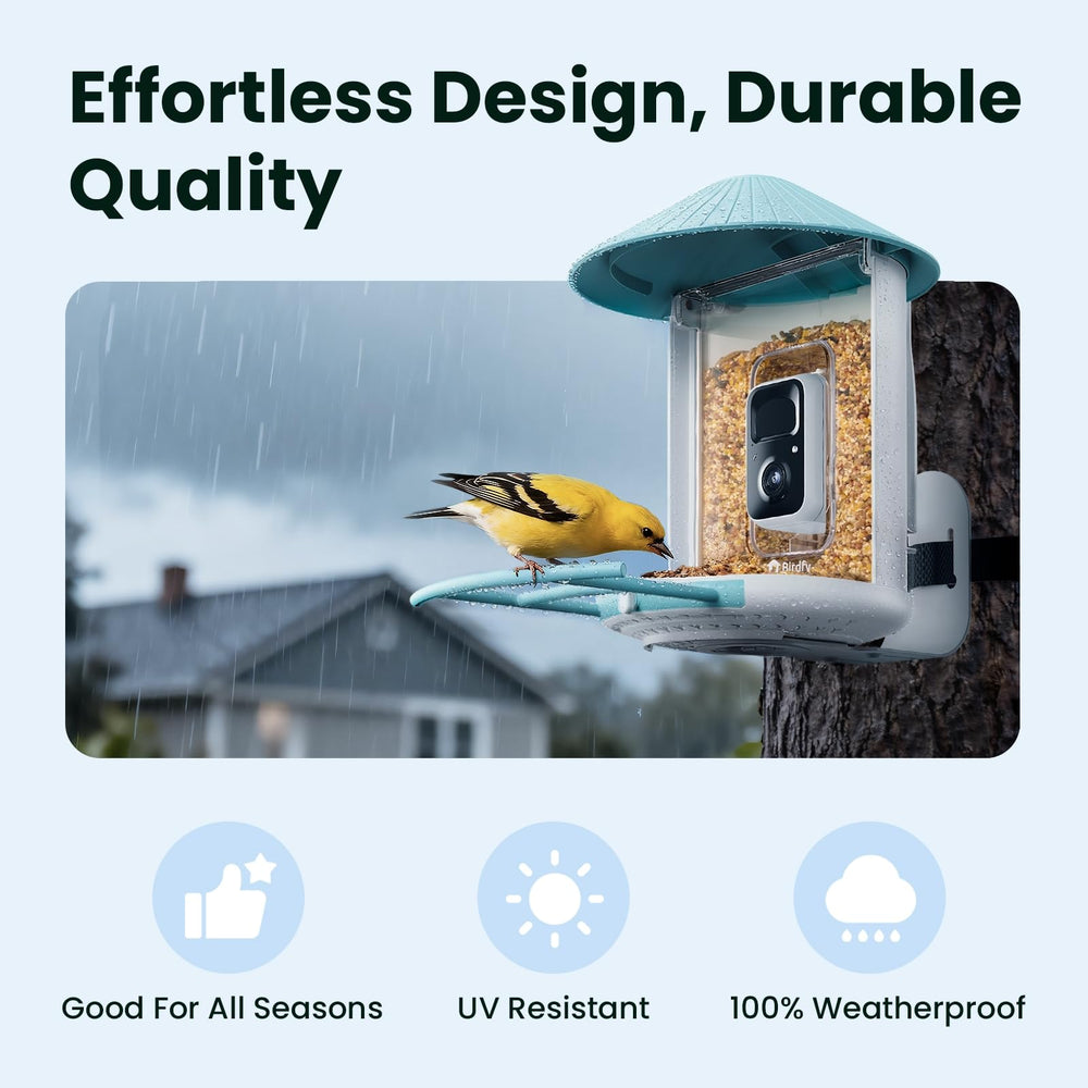 Birdfy Bird Feeder showing night vision capability