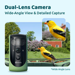 Birdfy dual-lens camera showcasing night vision feature