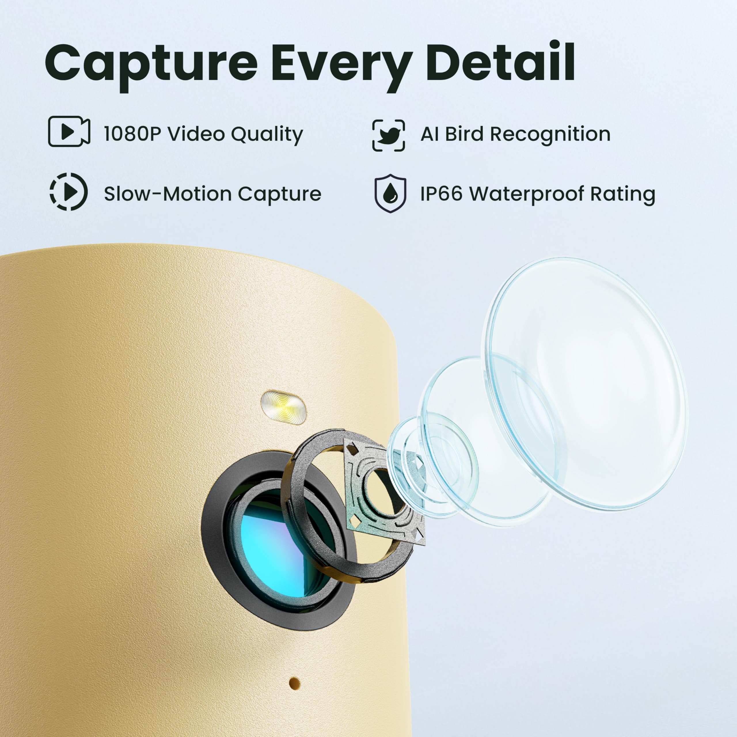 Birdfy feeder disassembled for easy cleaning
