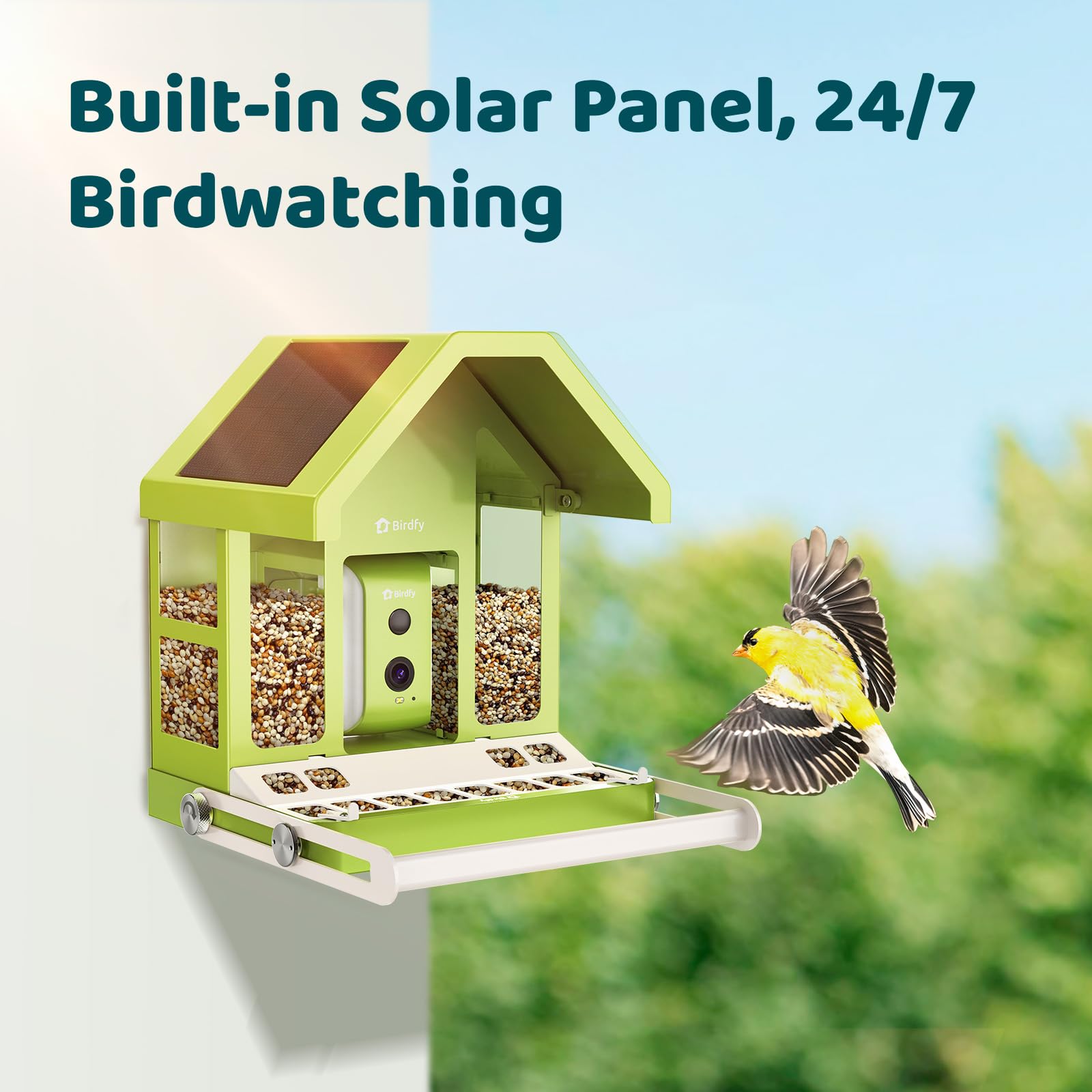 Birdfy feeder setup with solar panel in sunlight