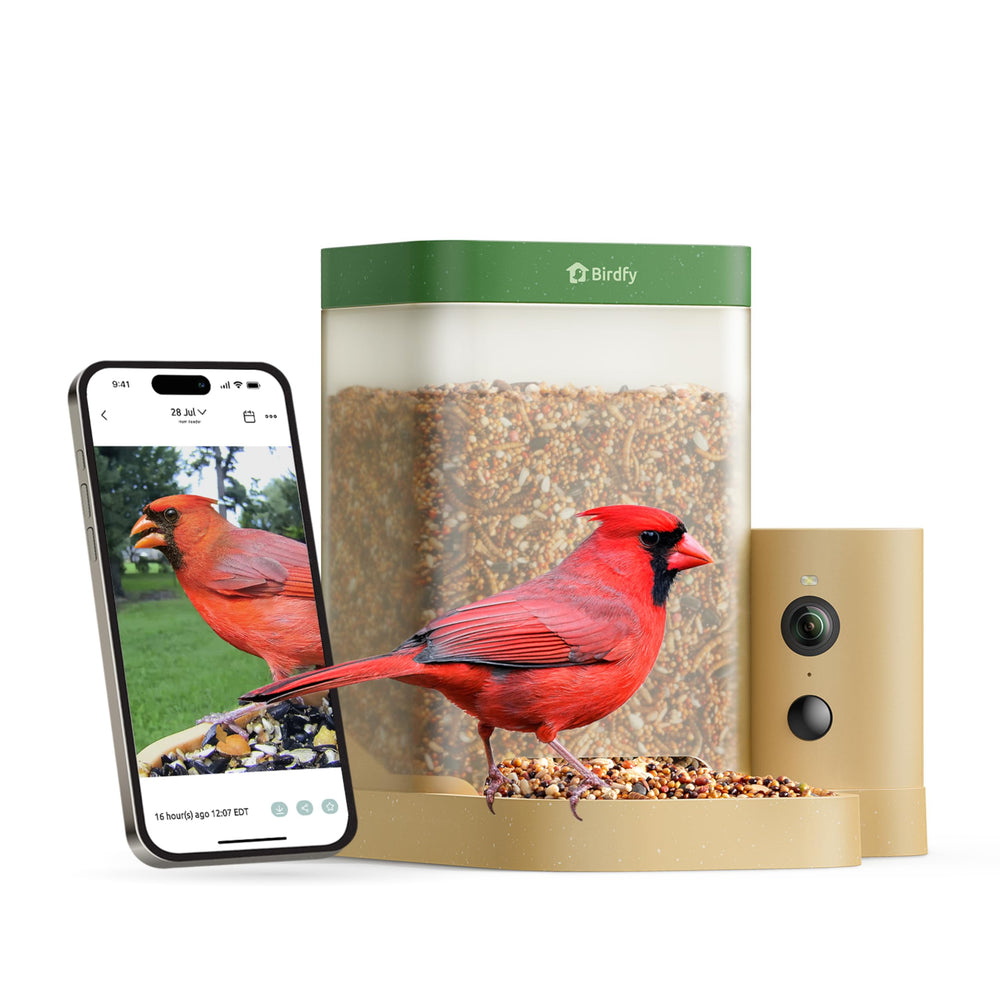 Birdfy Smart Bird Feeder Rookie Series front view in green and beige