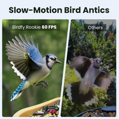 Birdfy Smart Bird Feeder side view showing the camera placement