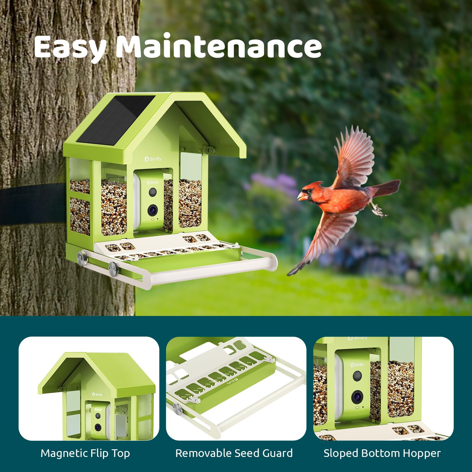 Birdfy Smart Bird Feeder with camera packaging overview