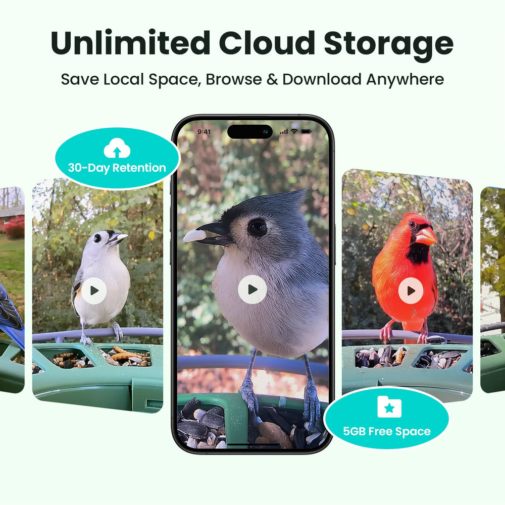 Birdfy smart bird feeder with cloud storage feature
