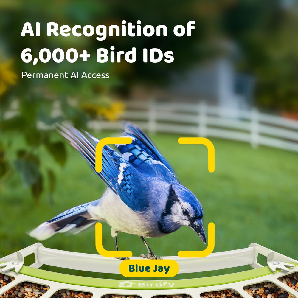 Birdfy Smart Bird Feeder with retractable perch and seed guard