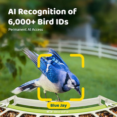 Birdfy Smart Bird Feeder with retractable perch and seed guard