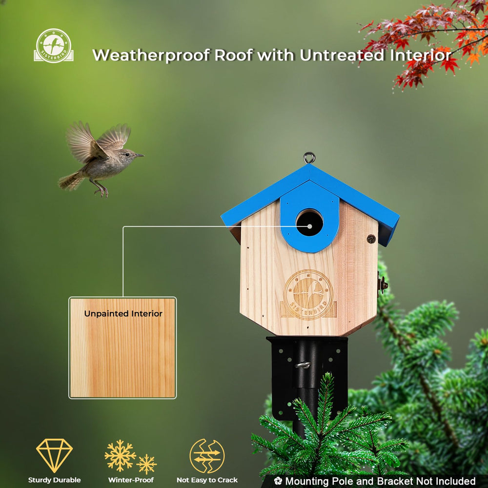 Birdhouse interior with fledging kerfs