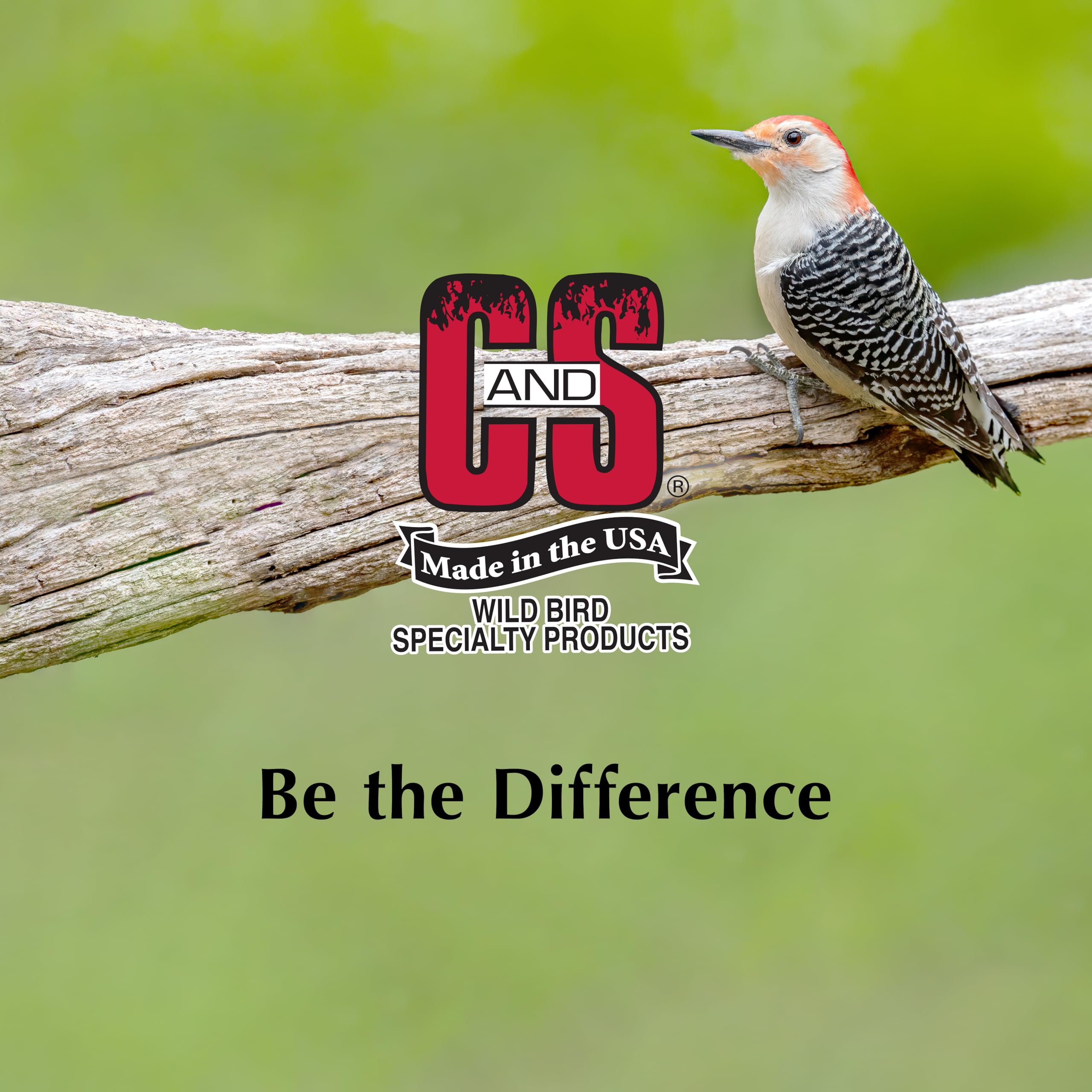 Birdhouse with C&S High Energy Suet nearby