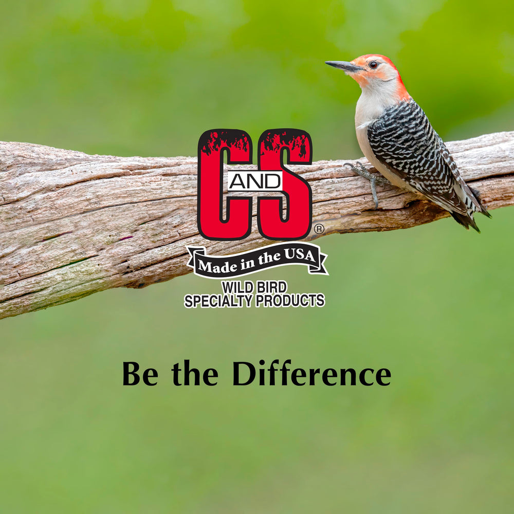 Birdhouse with C&S High Energy Suet nearby