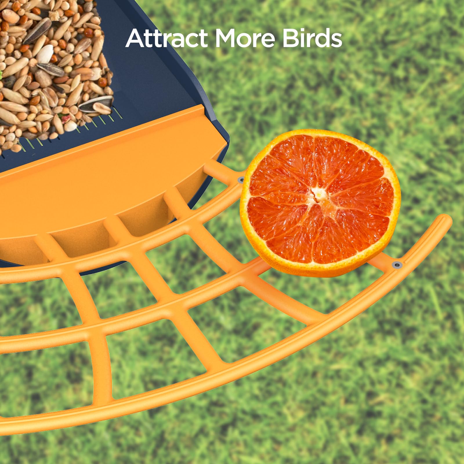 Birdkiss Smart Bird Feeder at night with infrared LED on