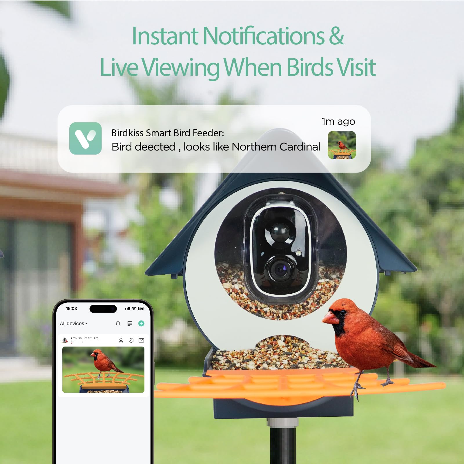 Birdkiss Smart Bird Feeder side view showing fruit holders