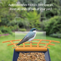 Birdkiss Smart Bird Feeder with solar panel on top