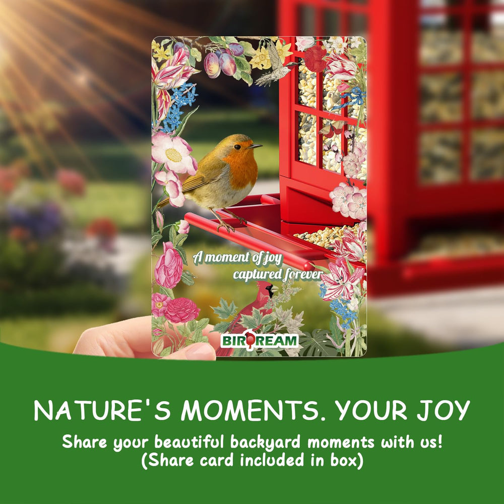 Birdream bird feeder filled with seeds attracting birds