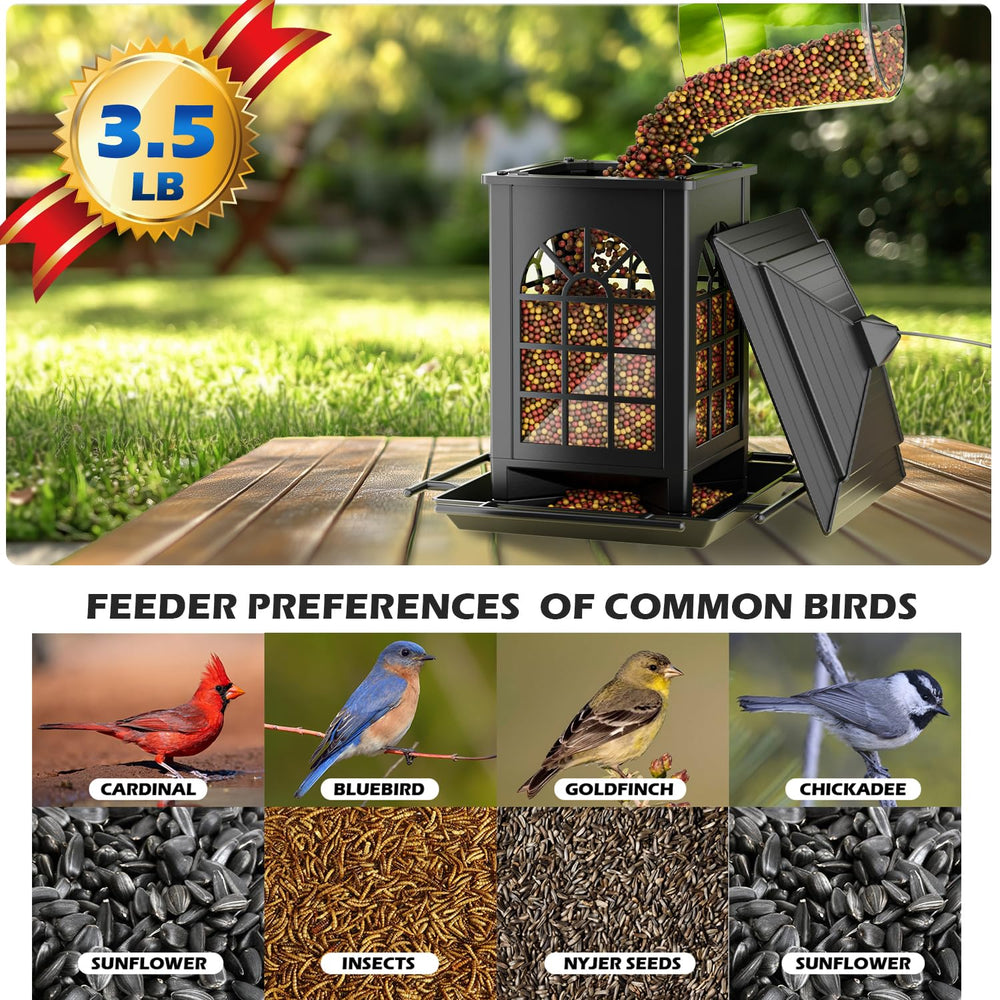 Birdream bird feeder front view with hanging hook