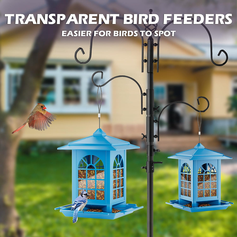 Birdream bird feeder hanging from a tree branch