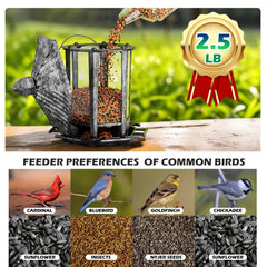 Birdream bird feeder showing transparent seed panel