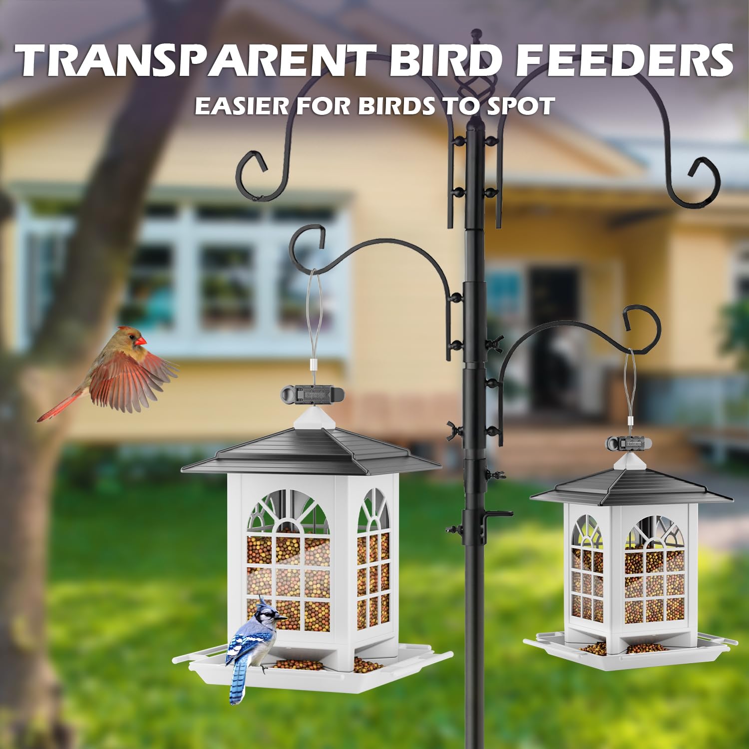 Birdream feeder packaging with tray, cover, and hook