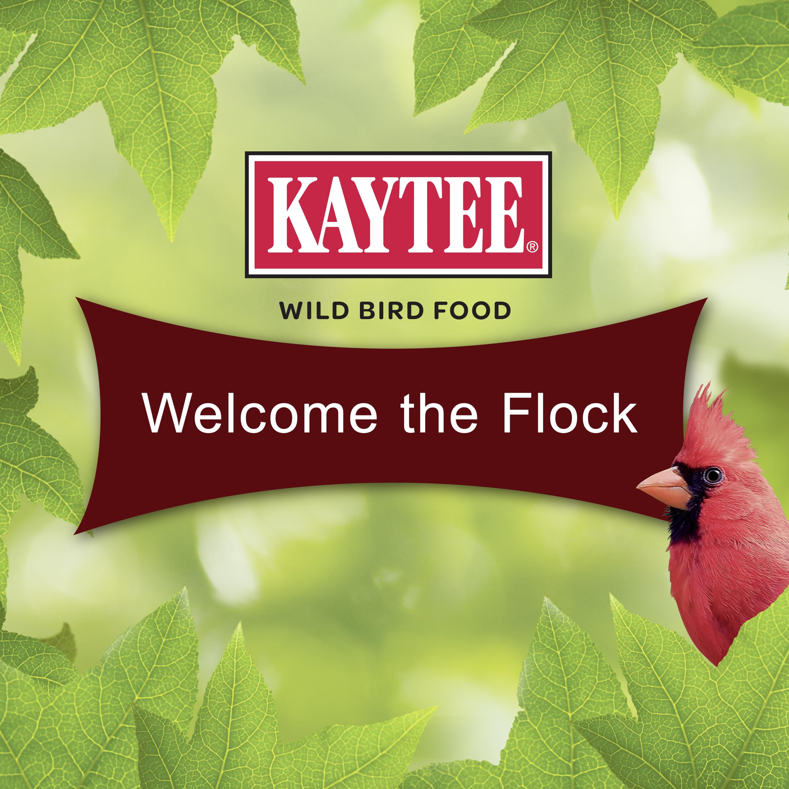 Birds enjoying Kaytee Cardinal Seed Cake