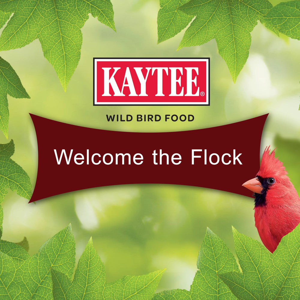 Birds enjoying Kaytee Cardinal Seed Cake