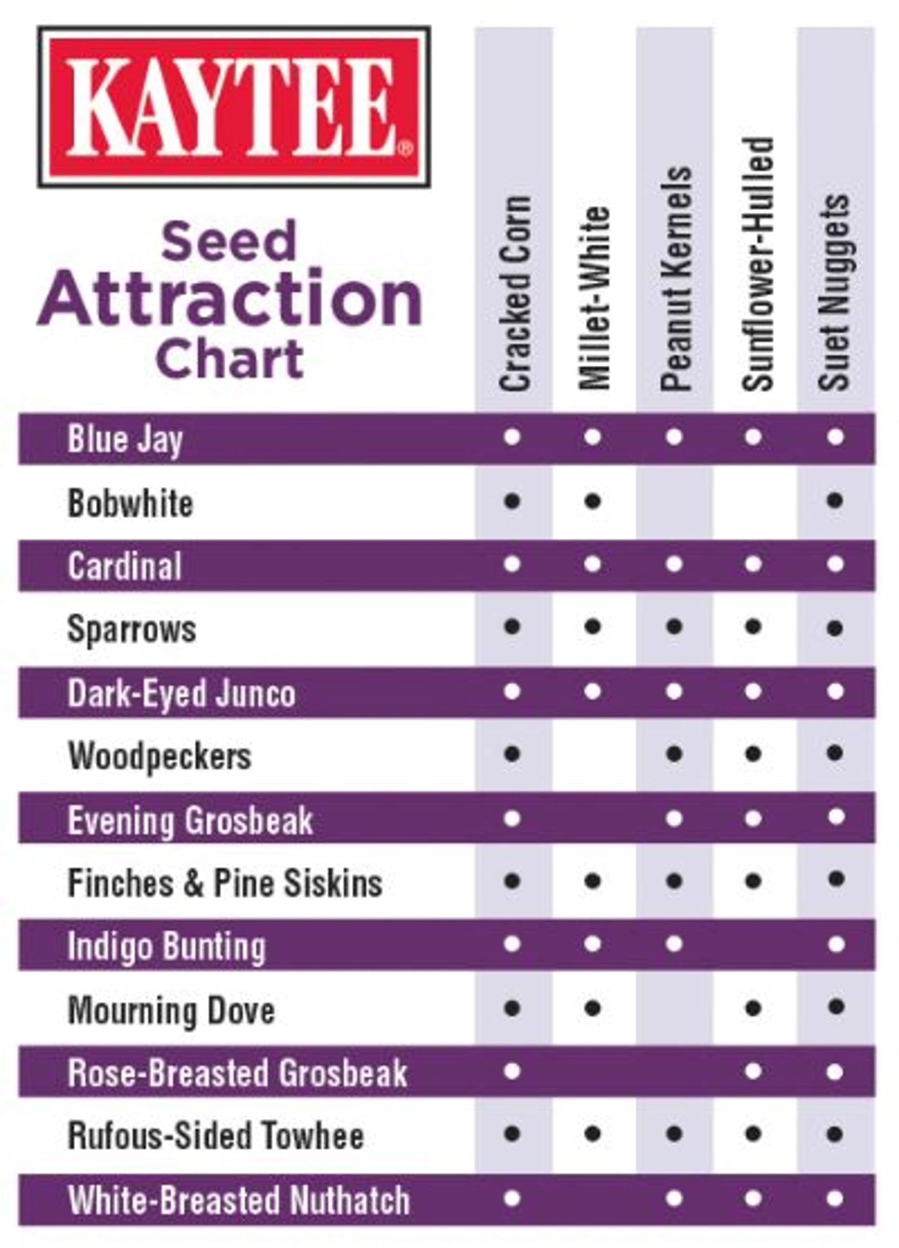 Birds enjoying Kaytee Seed & Suet No Mess Blend in backyard