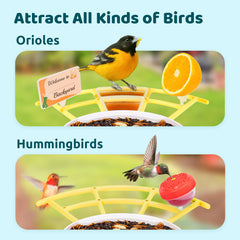 Birds feeding at NETVUE Birdfy Pro feeder